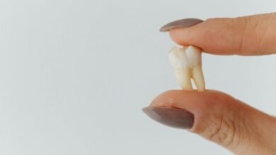 insight extraction index analysis