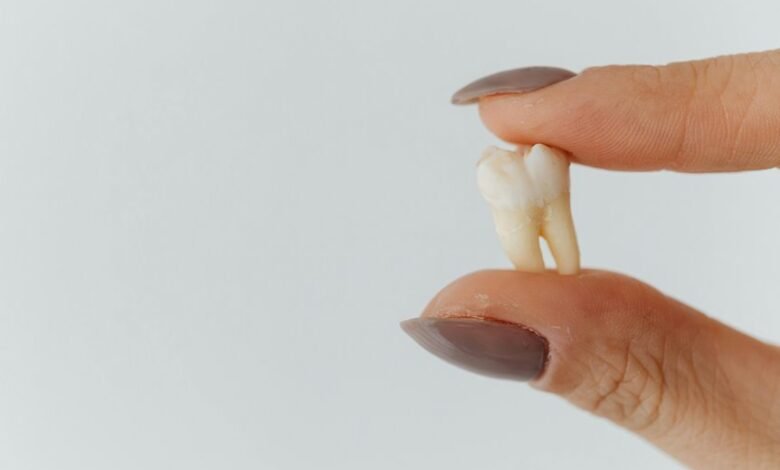 insight extraction index analysis